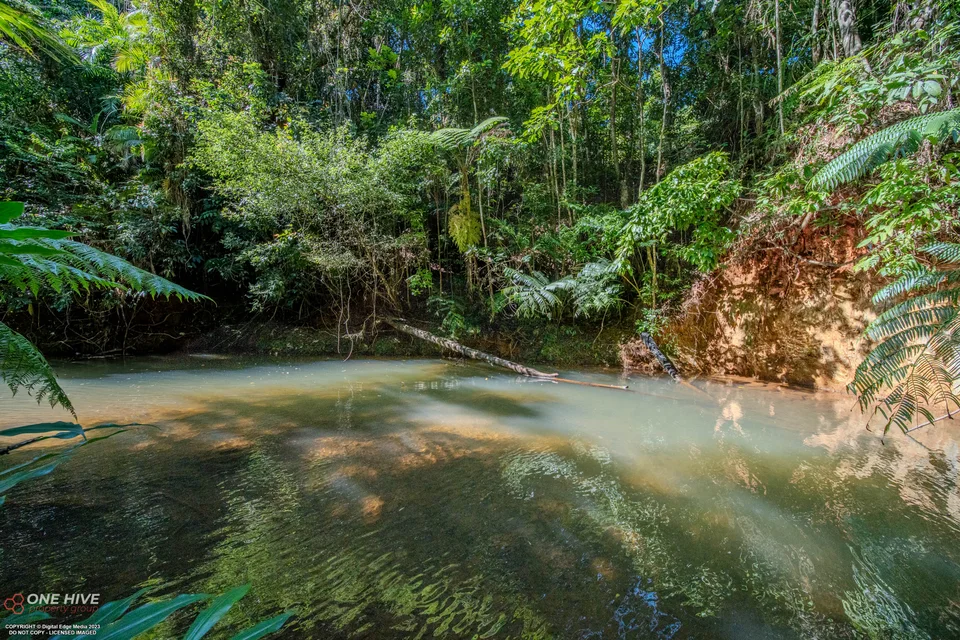 Property & Grounds: Natural swimming hole
