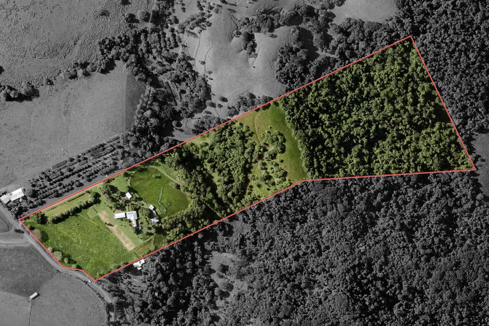 Property at 546 Utchee Creek Road, Utchee Creek, QLD, 4871